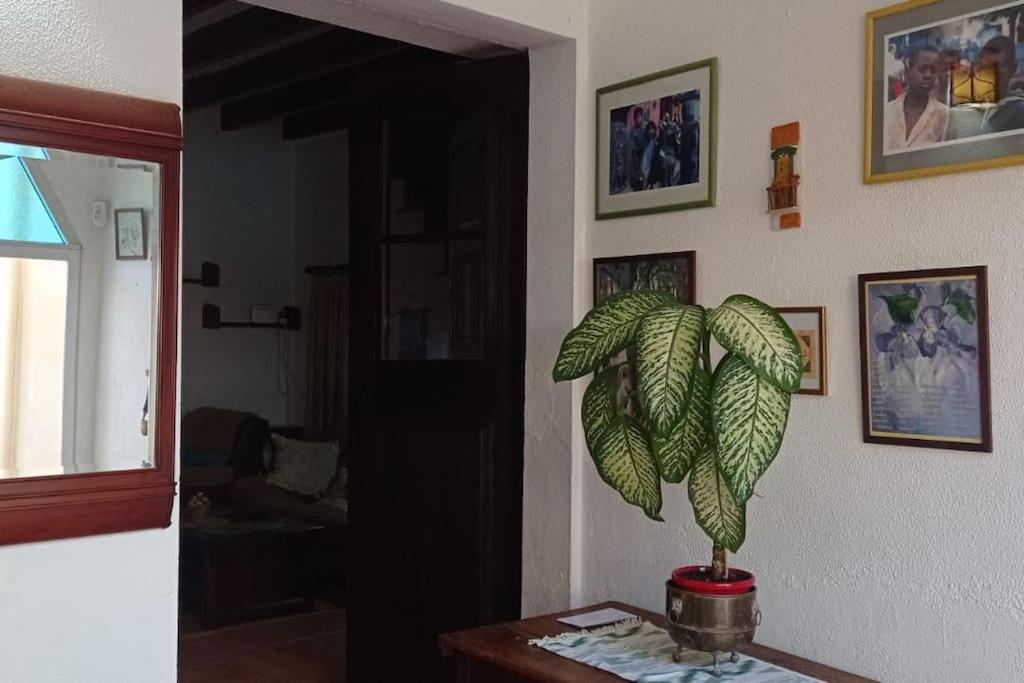 Ca Na Perereta Сasa de vacaciones